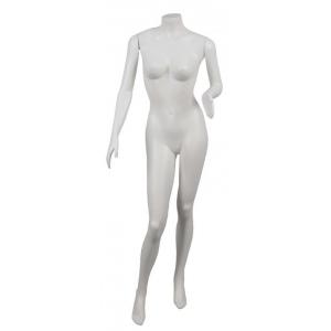 Feminino Magra com Pose Braço Cintura Feminino Magra com Pose Braço Cintura